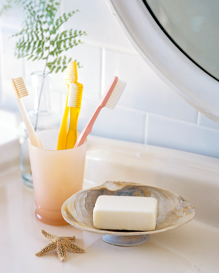 Seashell Soap Dish