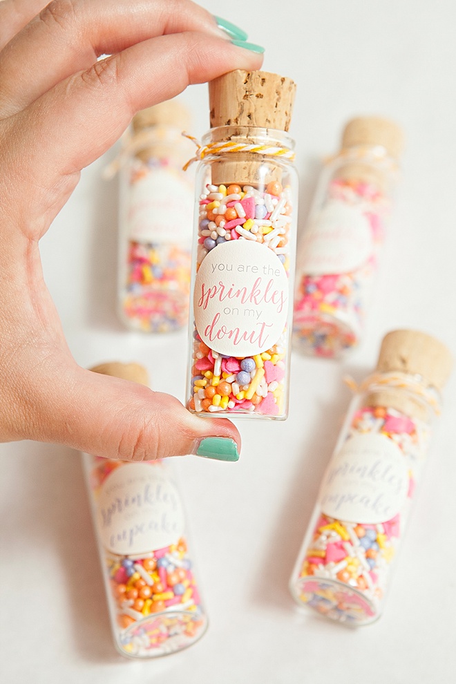 Best DIY Sprinkle Party Favors Ever